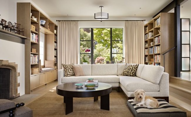 handymen_montreal_living_room_and_the_dog